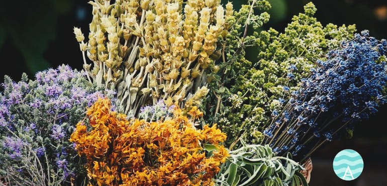 Βιολογικά βότανα, αιθέρια έλαια Λήμνου background image